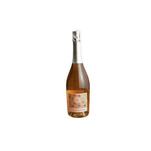 Gaia-CJ-_-Vinsomnia.png GAIA de Juvenal, Chateau Juvenal Provence, AOP Ventoux Bio 0,75L 12,0%