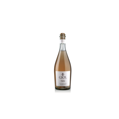 ROSATO FRIZZANTE MERLOT RABOSO, IGT Veneto, Italy 0,75L 11,5%