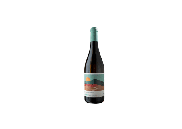 Ribes-White-_-Vinsomnia.png RIBES du Vallat Blanc, Chateau Juvenal Provence, AOP Ventoux Bio 0,75L 14,0%