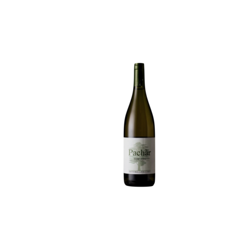 Fattoria Lavacchio Pàchar Toscana Bianco IGT 2024, 0,75l 14% vol