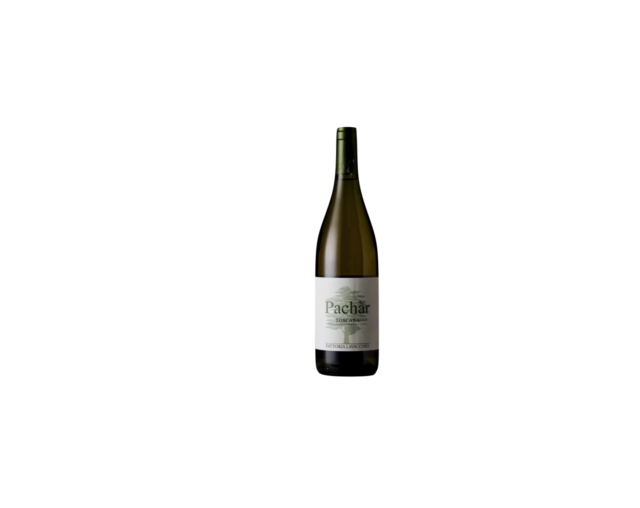 Fattoria Lavacchio Pàchar Toscana Bianco IGT 2024, 0,75l 14% vol
